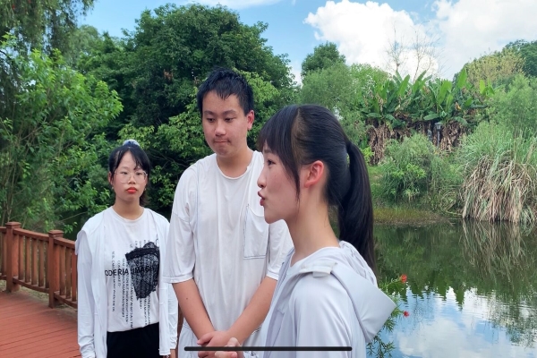 【电商】06.03团立项(3)